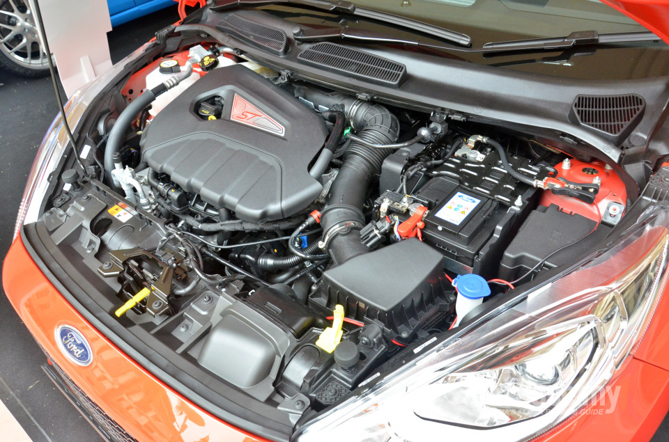 Ford Fiesta ST B299 (2014) Exterior