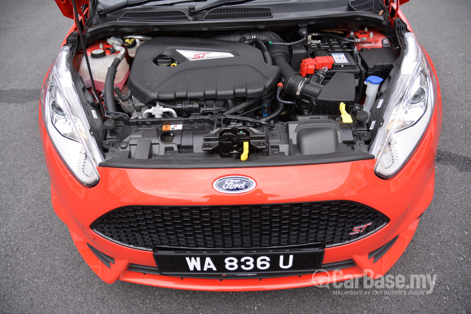 Ford Fiesta ST B299 (2014) Exterior
