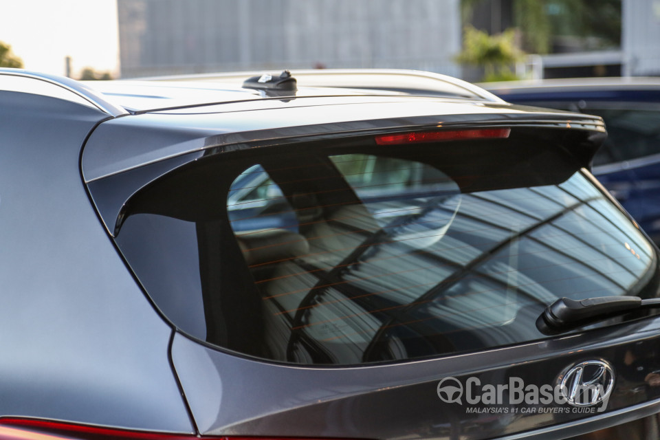 Hyundai Santa Fe TM (2019) Exterior