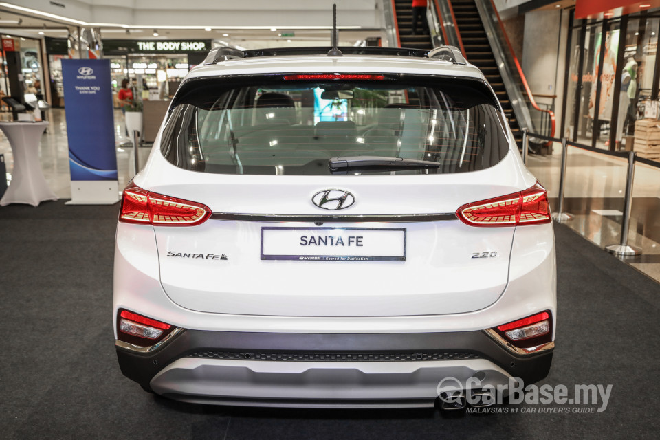 Hyundai Santa Fe TM (2019) Exterior