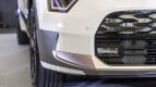Kia Niro EV Exterior photo