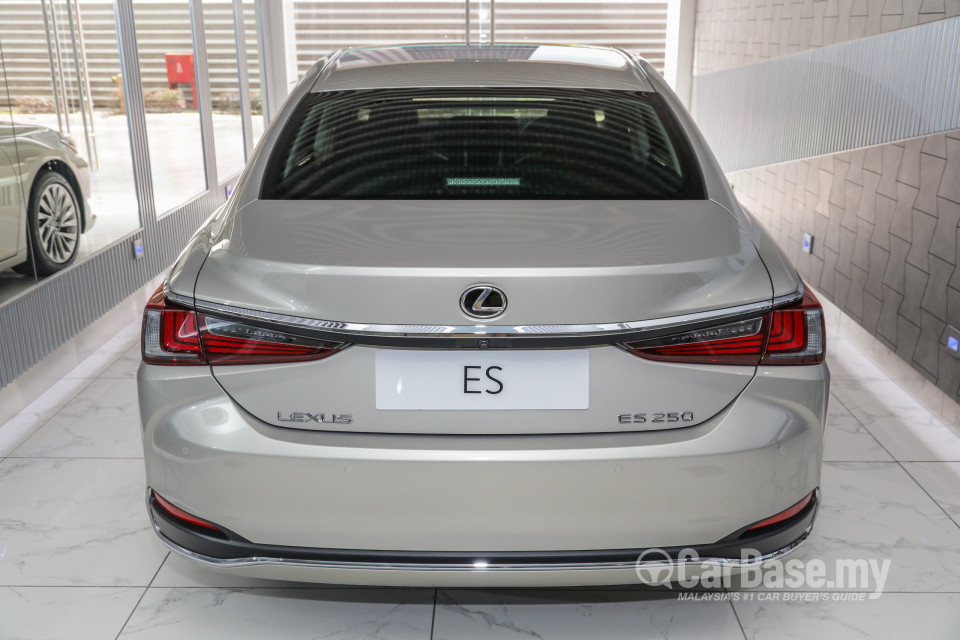 Lexus ES XZ10 (2019) Exterior