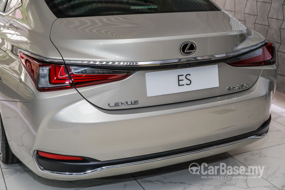 Lexus ES XZ10 (2019) Exterior