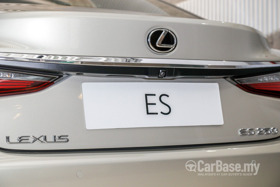 Lexus ES XZ10 (2019) Exterior