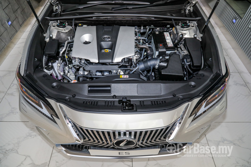 Lexus ES XZ10 (2019) Exterior