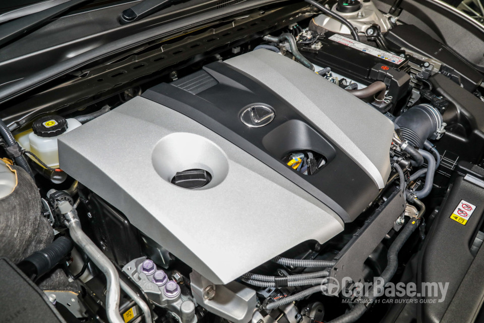 Lexus ES XZ10 (2019) Exterior