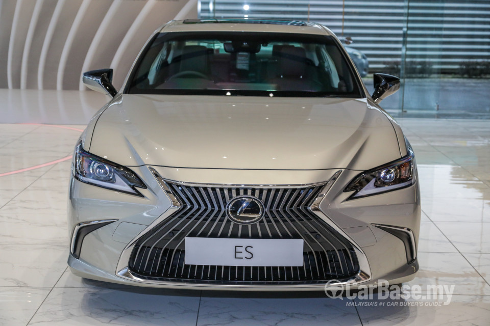 Lexus ES XZ10 (2019) Exterior