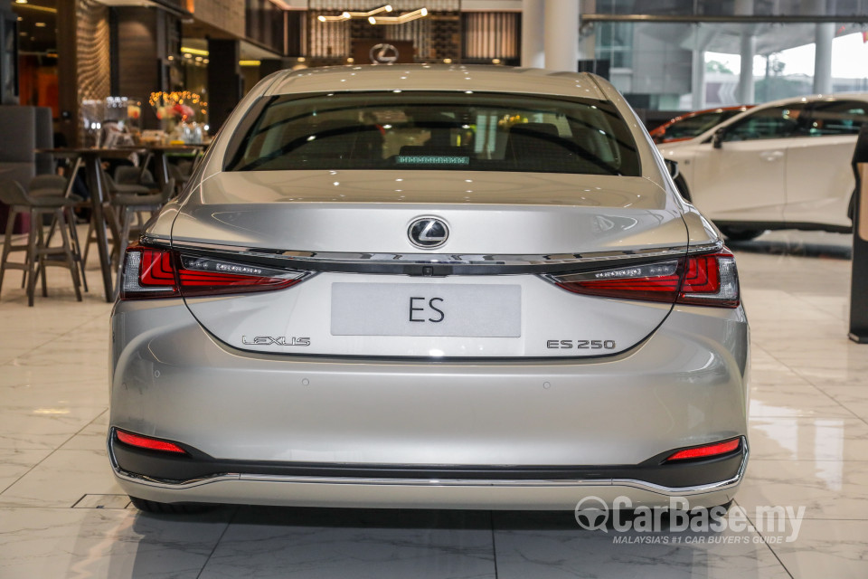 Lexus ES XZ10 (2019) Exterior
