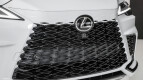 Lexus RX Exterior photo