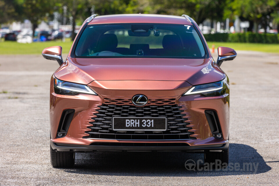 Lexus RX ALA10 (2023) Exterior