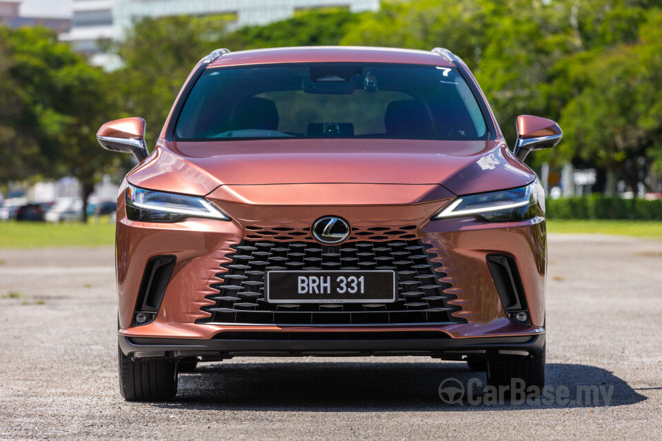 Lexus RX ALA10 (2023) Exterior