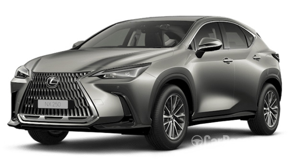 Lexus NX AZ20 (2022) Exterior