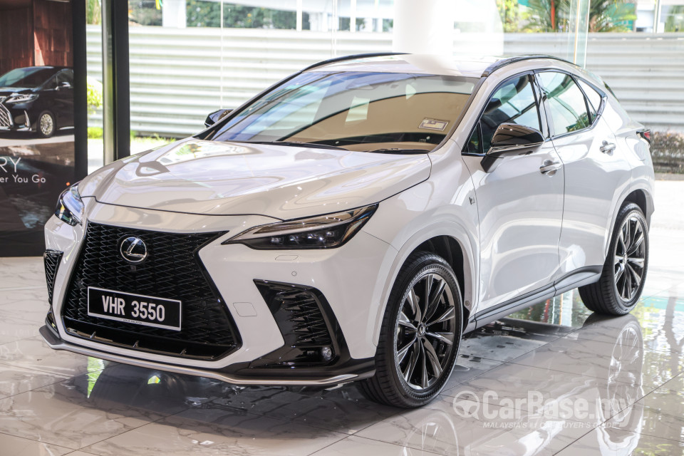 Lexus NX AZ20 (2022) Exterior
