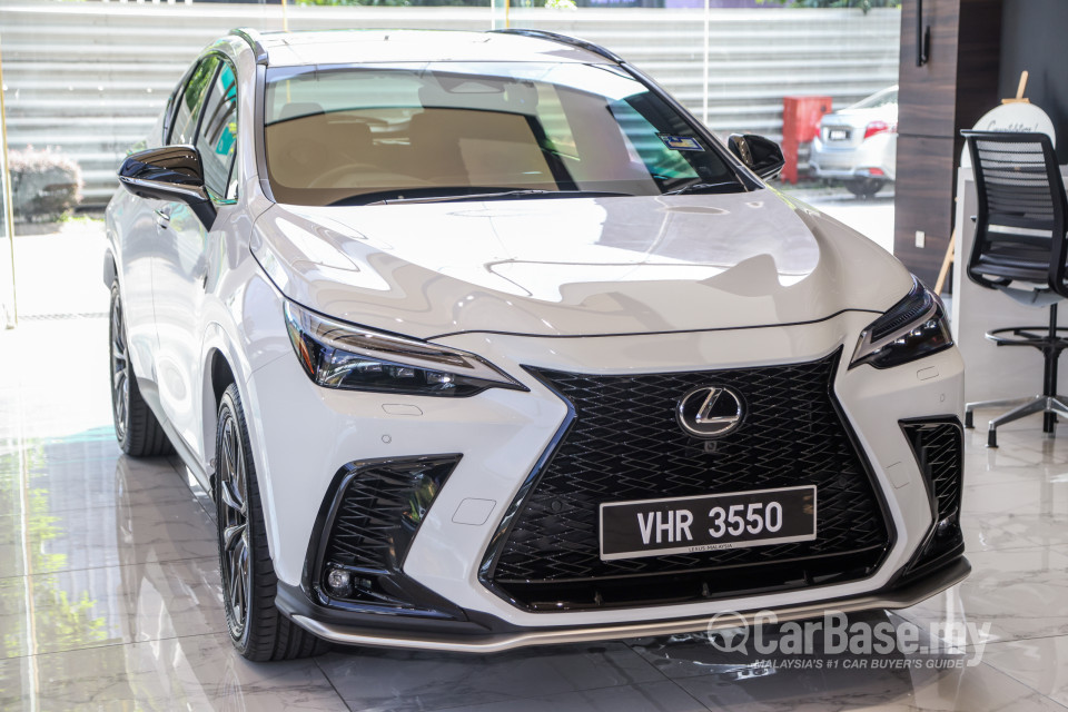Lexus NX AZ20 (2022) Exterior