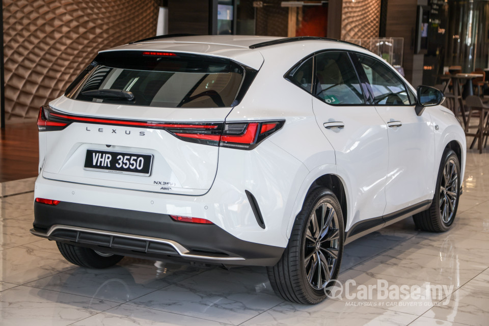 Lexus NX AZ20 (2022) Exterior