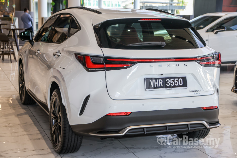 Lexus NX AZ20 (2022) Exterior