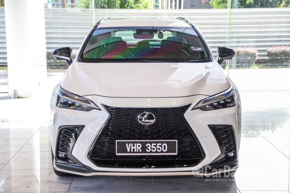 Lexus NX AZ20 (2022) Exterior