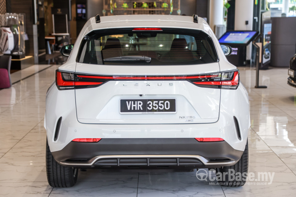 Lexus NX AZ20 (2022) Exterior