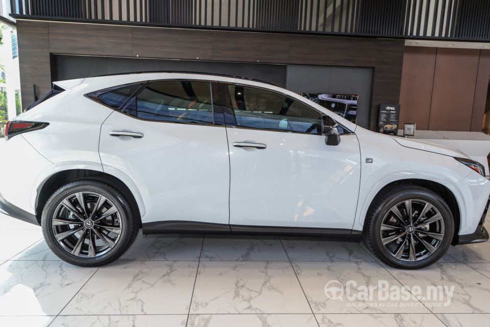 Lexus NX AZ20 (2022) Exterior