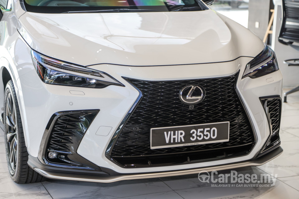 Lexus NX AZ20 (2022) Exterior