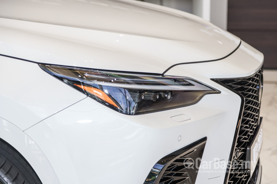 Lexus NX AZ20 (2022) Exterior