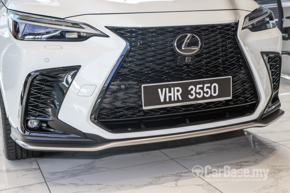 Lexus NX AZ20 (2022) Exterior
