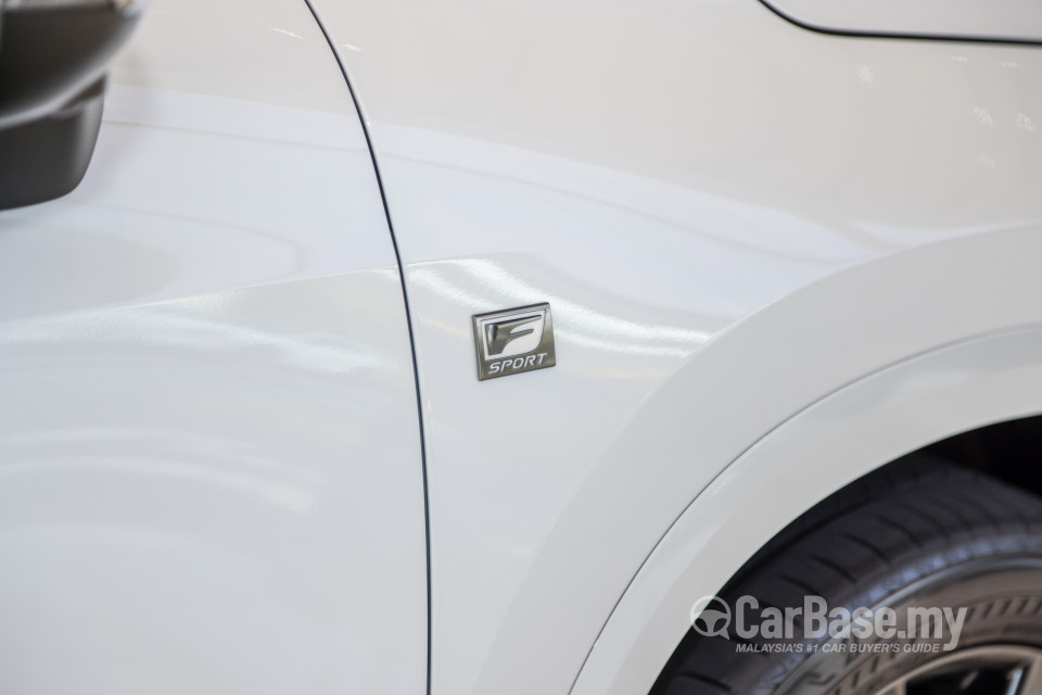 Lexus NX AZ20 (2022) Exterior