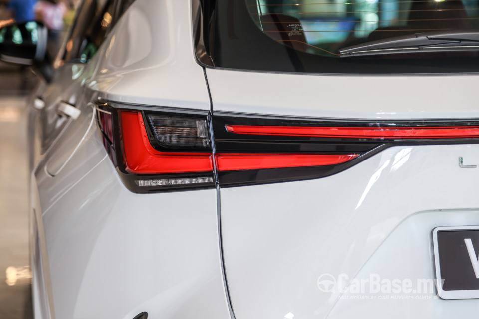Lexus NX AZ20 (2022) Exterior