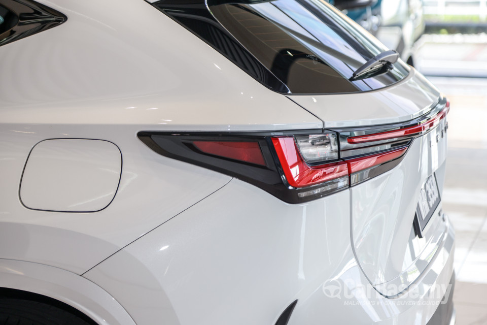 Lexus NX AZ20 (2022) Exterior