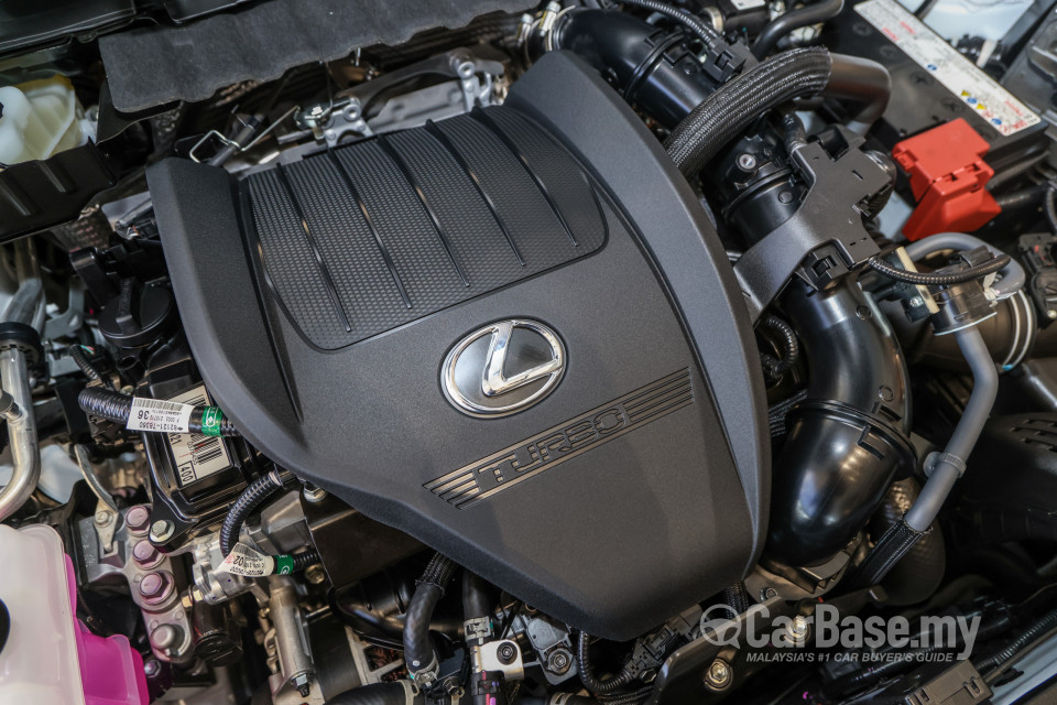 Lexus NX AZ20 (2022) Exterior