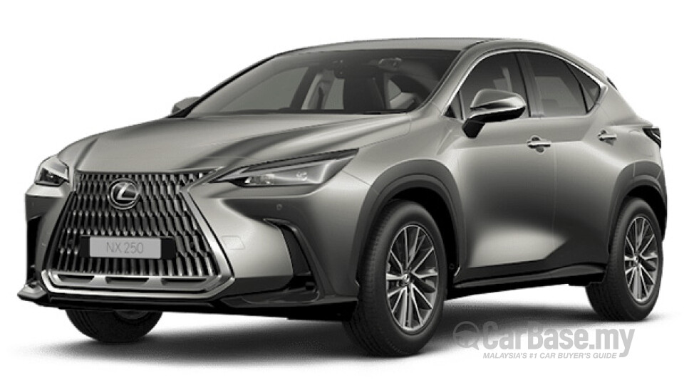 Lexus NX AZ20 (2022) Exterior