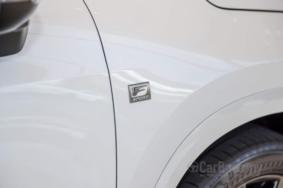 Lexus NX AZ20 (2022) Exterior