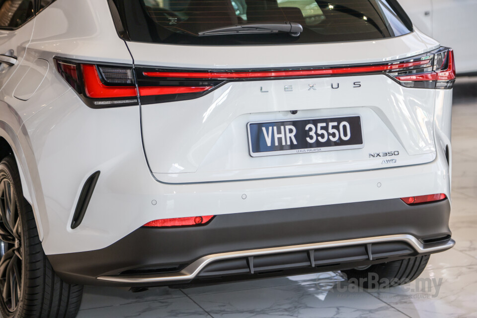 Lexus NX AZ20 (2022) Exterior