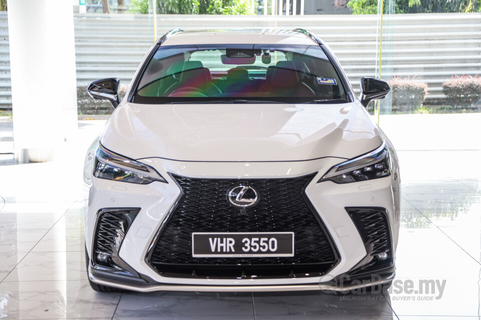 Lexus NX AZ20 (2022) Exterior