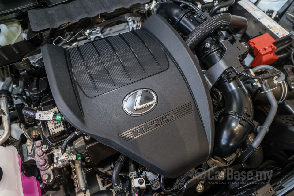 Lexus NX AZ20 (2022) Exterior