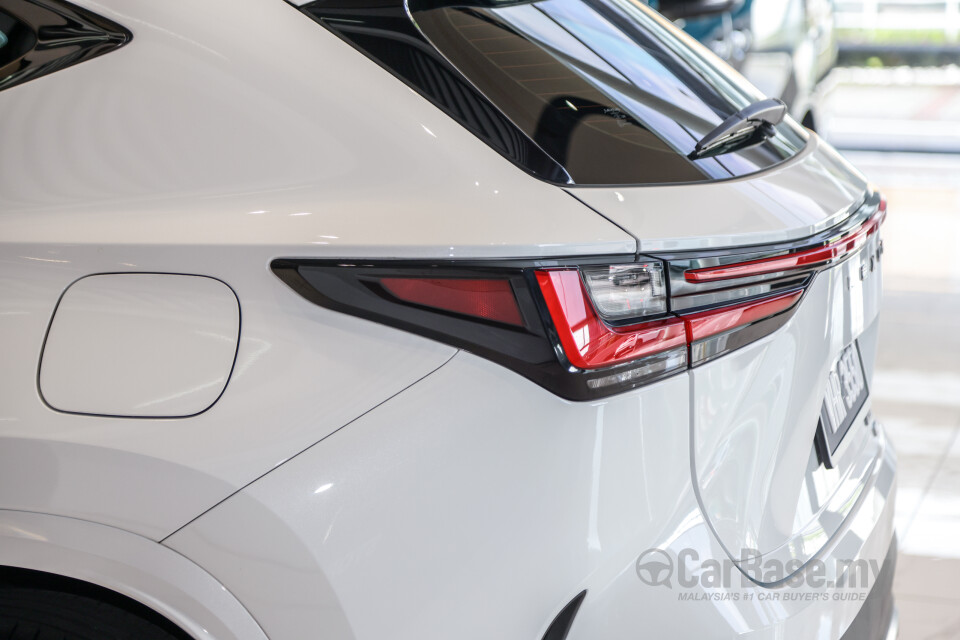 Lexus NX AZ20 (2022) Exterior