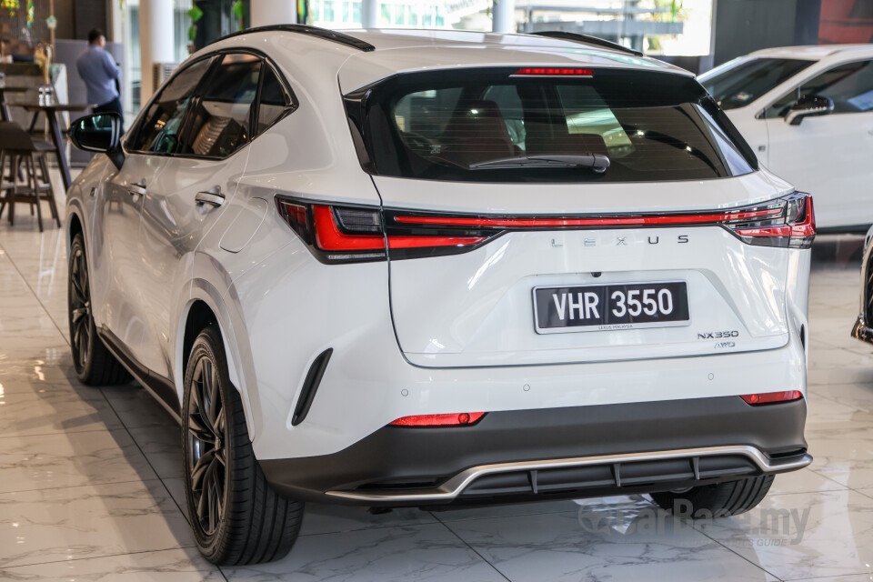 Lexus NX AZ20 (2022) Exterior