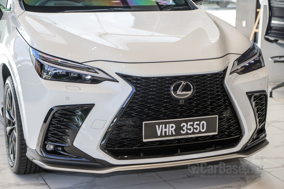 Lexus NX AZ20 (2022) Exterior