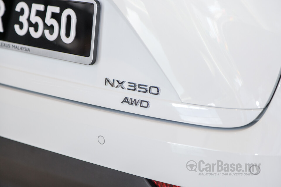 Lexus NX AZ20 (2022) Exterior
