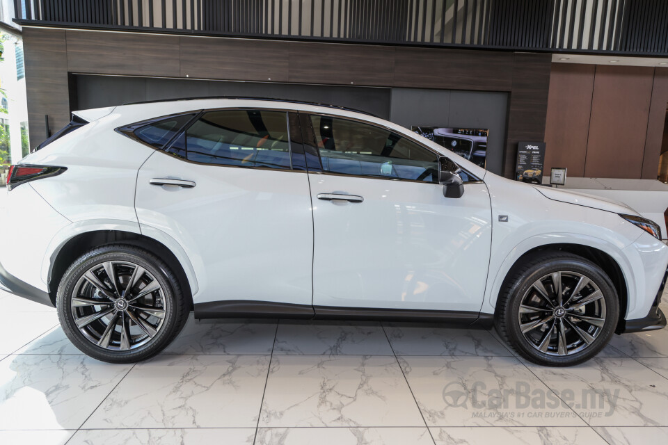 Lexus NX AZ20 (2022) Exterior