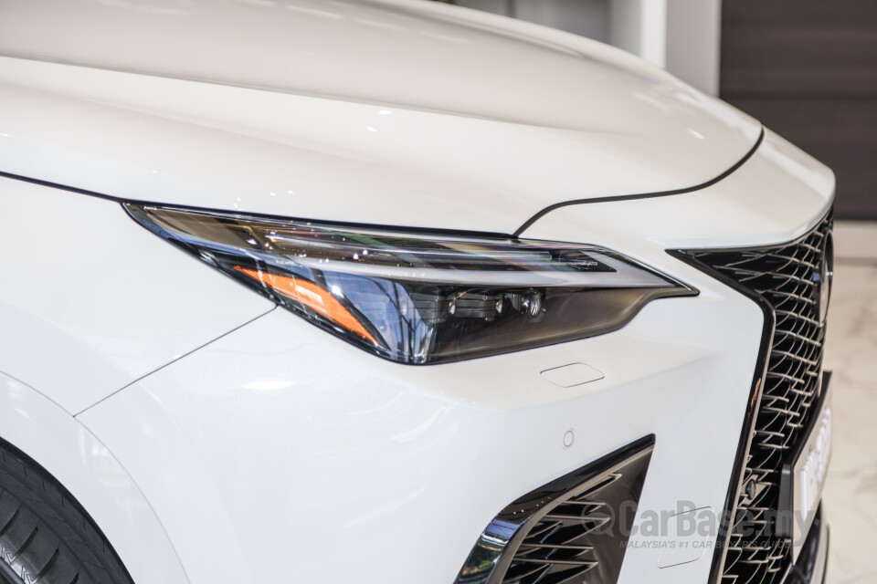 Lexus NX AZ20 (2022) Exterior