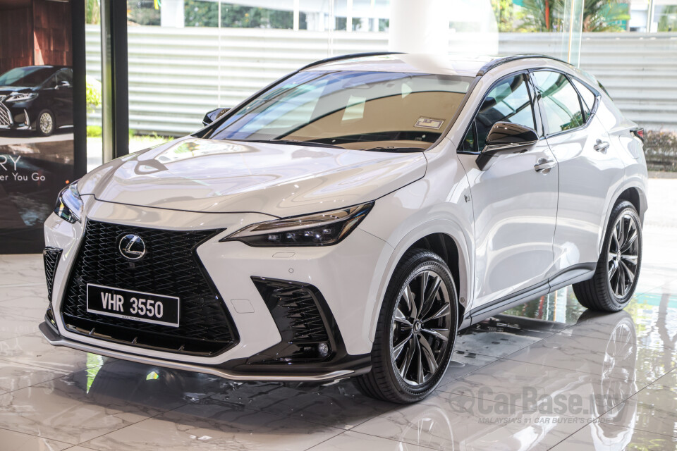 Lexus NX AZ20 (2022) Exterior