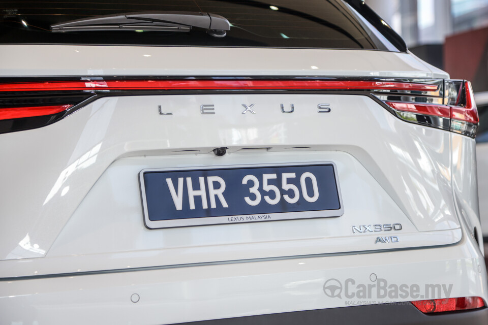 Lexus NX AZ20 (2022) Exterior