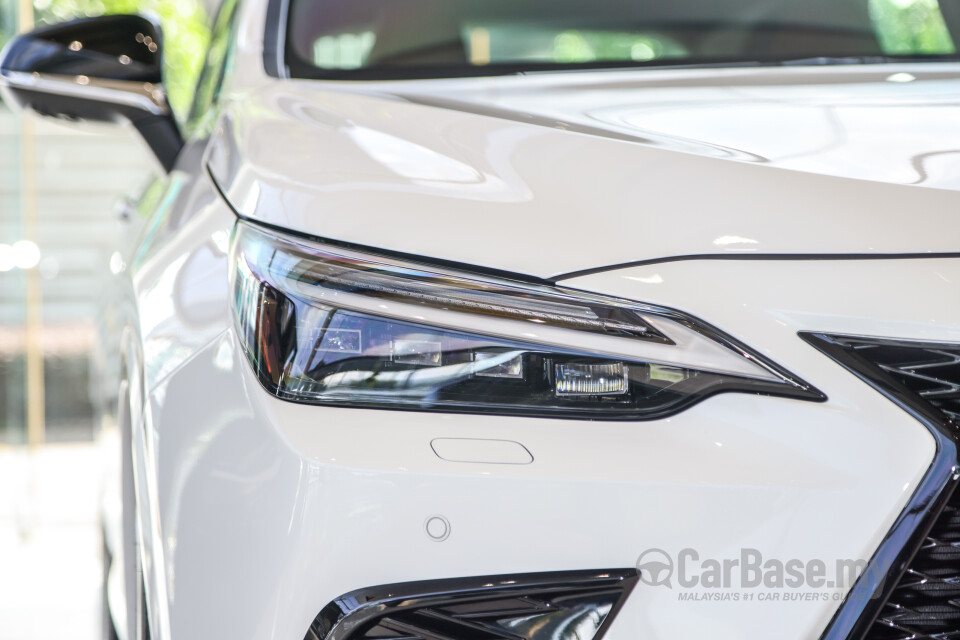 Lexus NX AZ20 (2022) Exterior
