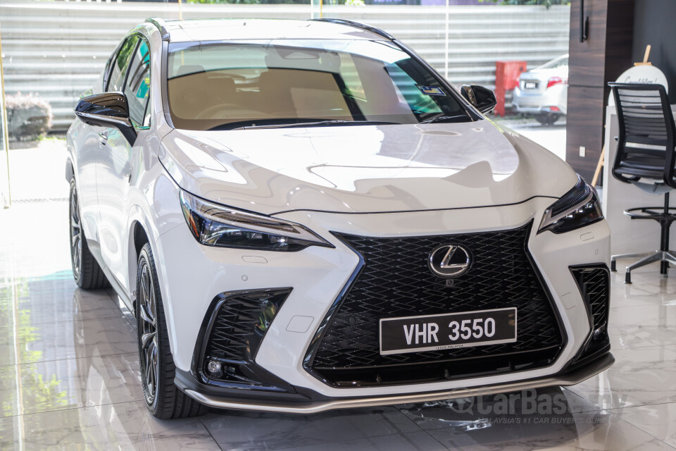 Lexus NX AZ20 (2022) Exterior