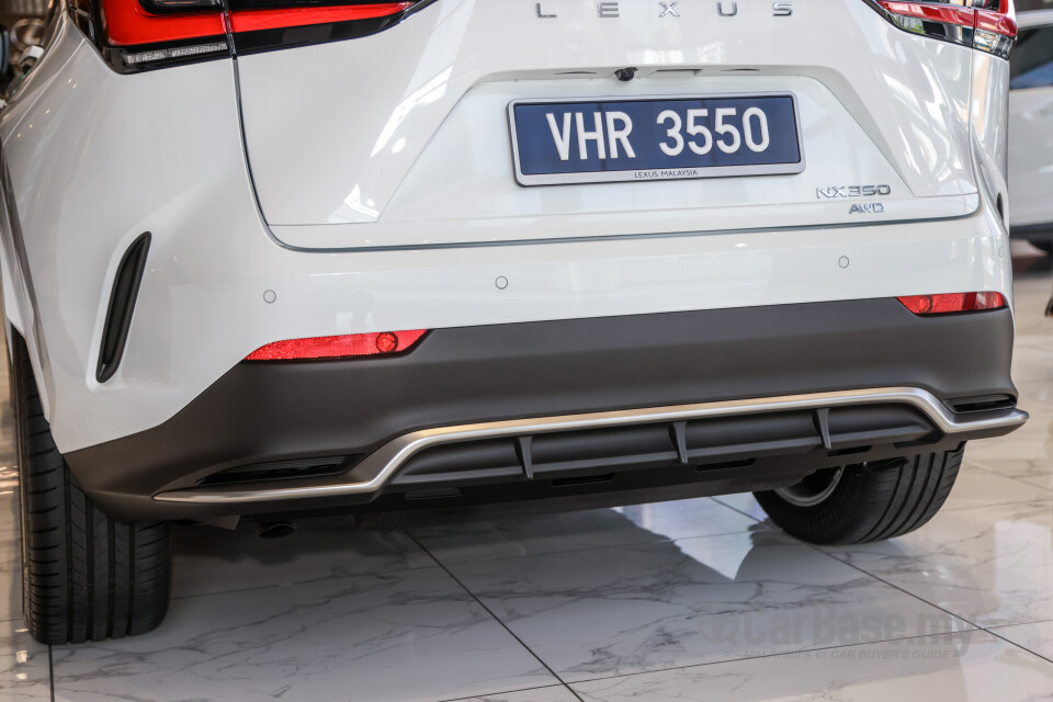 Lexus NX AZ20 (2022) Exterior