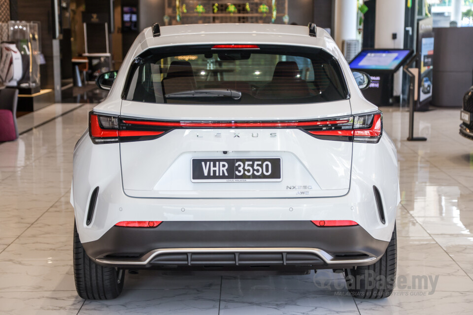 Lexus NX AZ20 (2022) Exterior