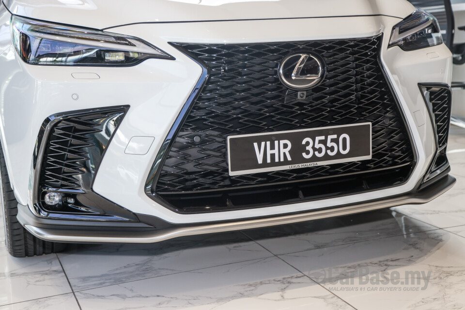 Lexus NX AZ20 (2022) Exterior