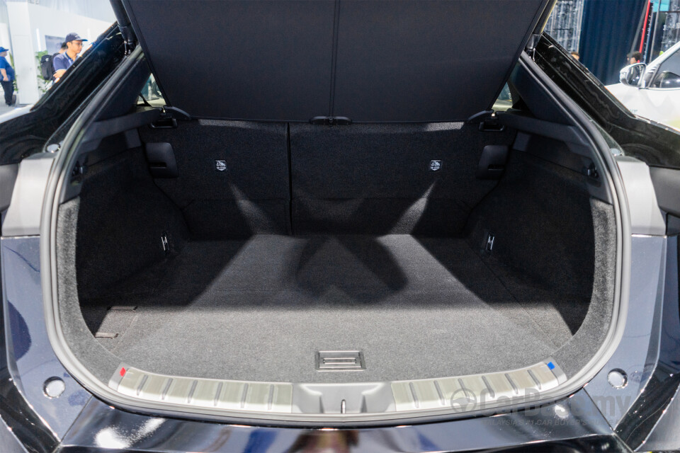 Lexus RZ EB10 (2024) Interior