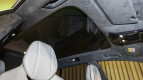Lotus Eletre Interior photo